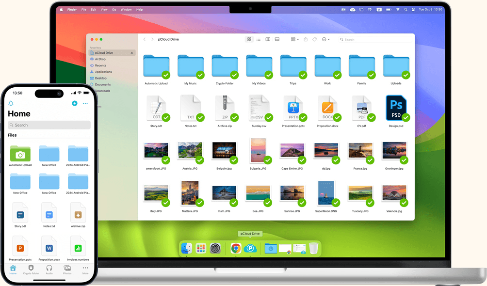 Your files. Anytime, anywhere.