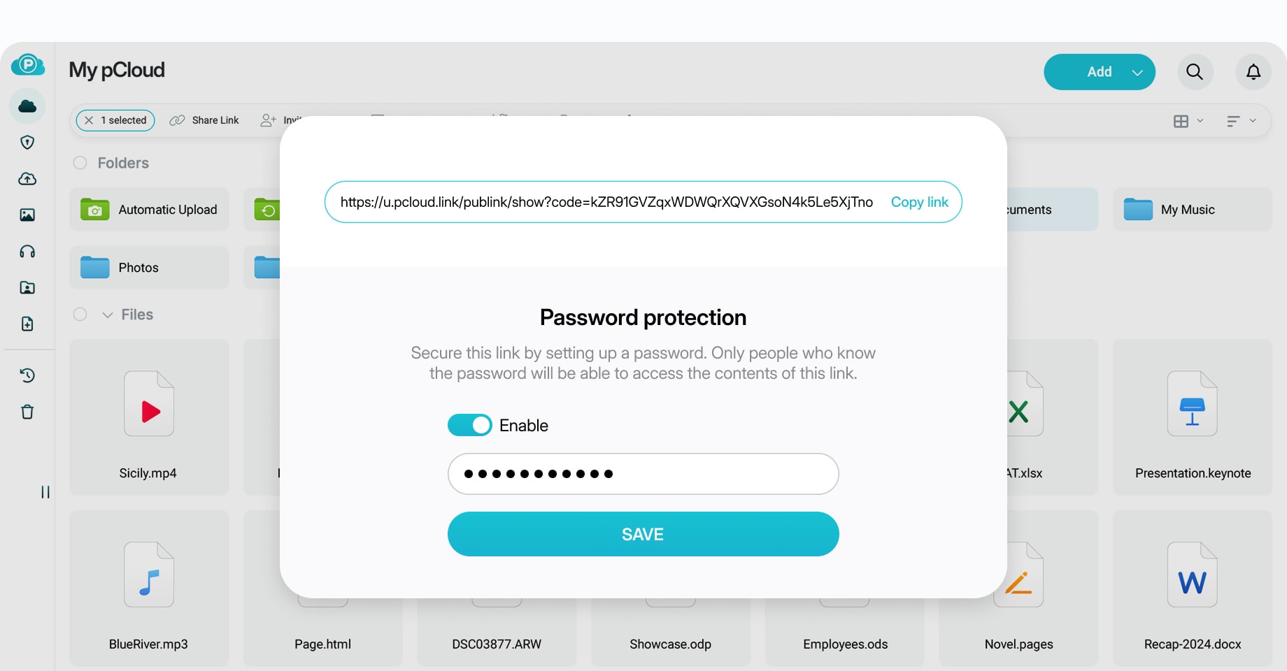 Password-protected links
