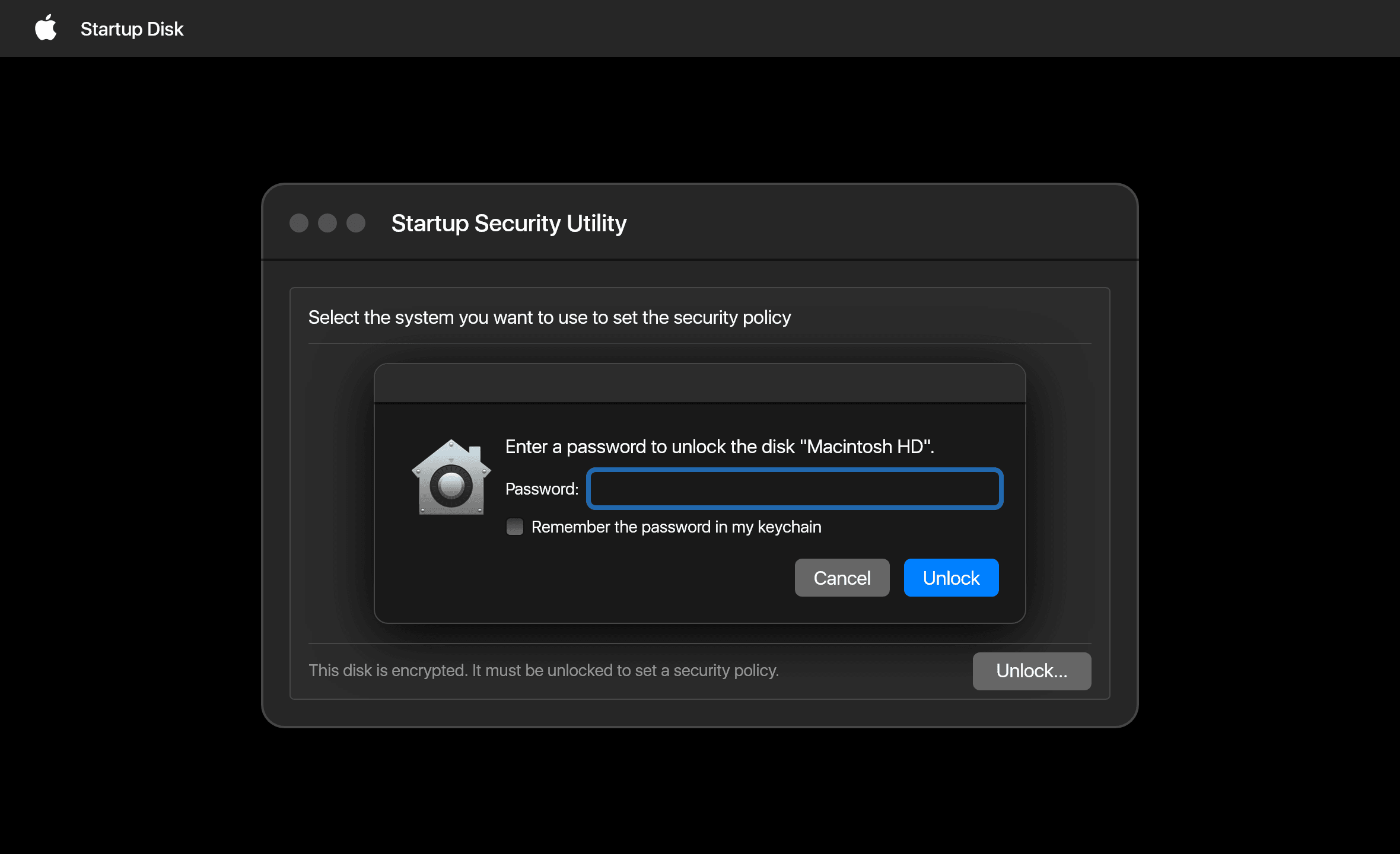 Enter your macOS password again.