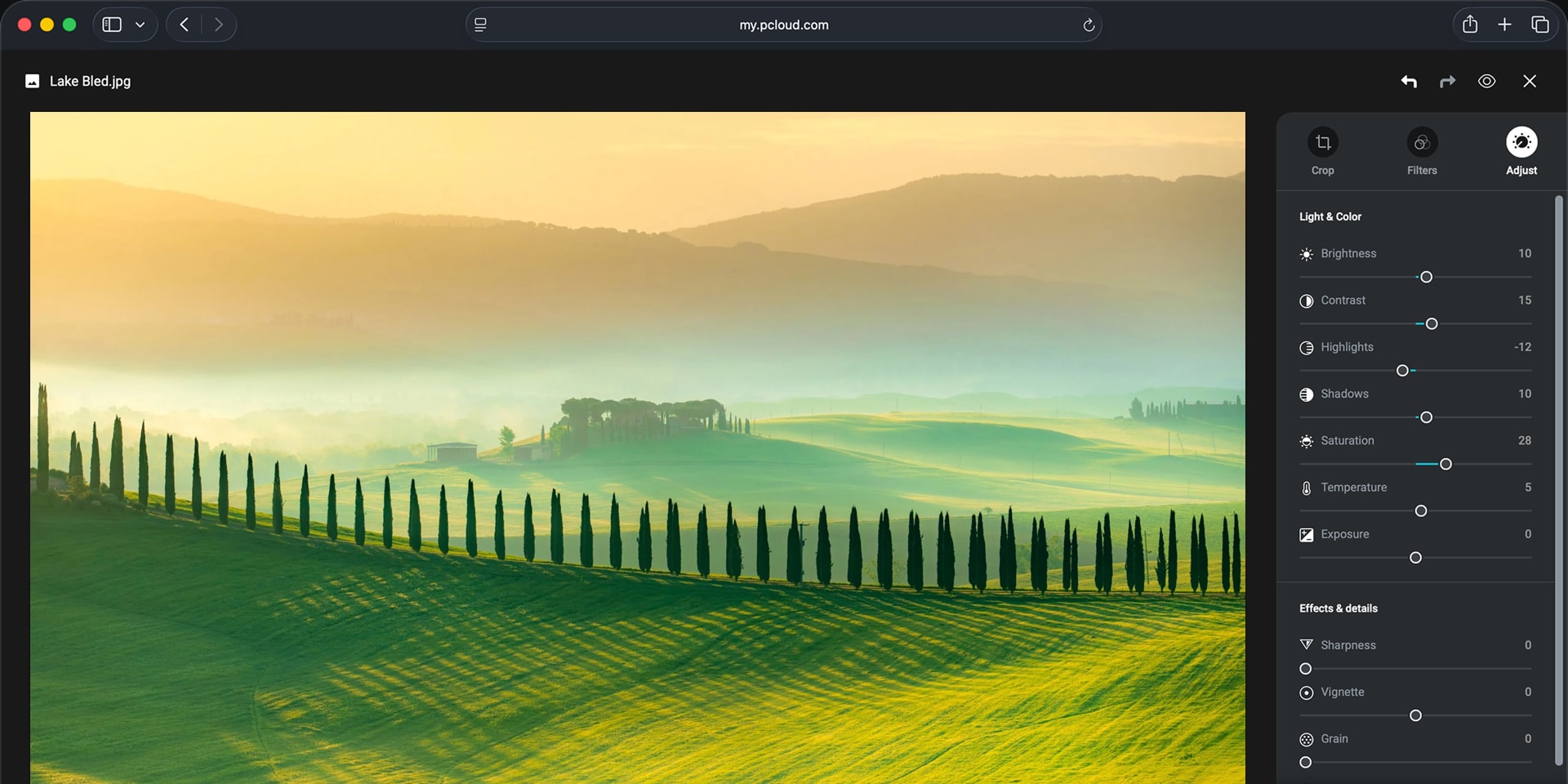 Built-in Photo editor