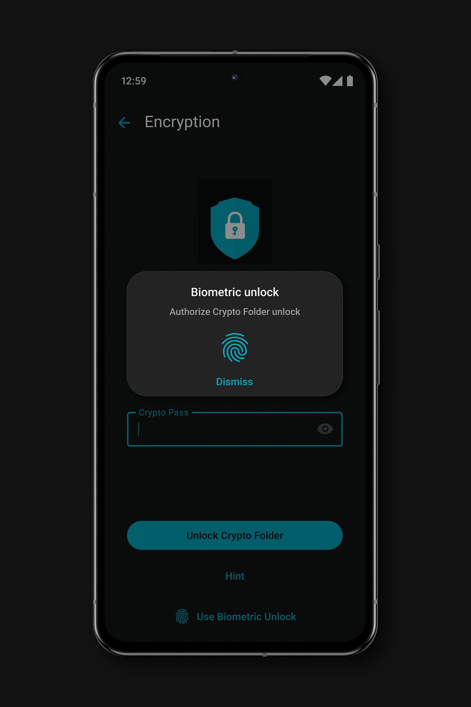 Criptografia do lado do cliente protege seus arquivos antes que eles saiam de seu dispositivo.