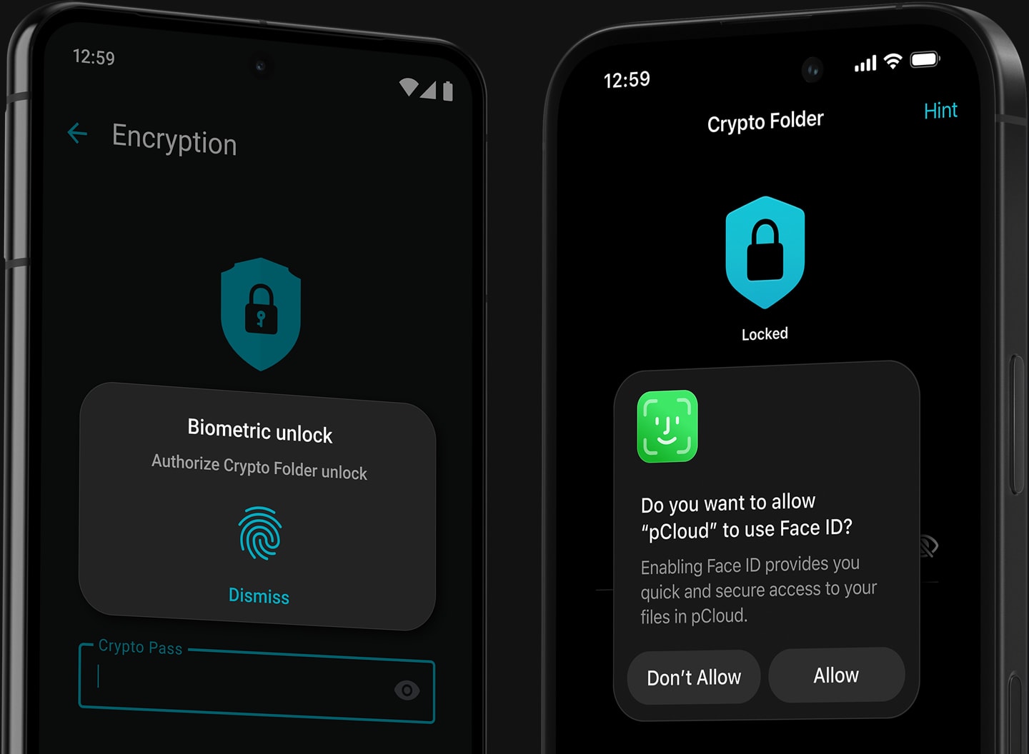 Proteção multicamadas combina criptografia avançada com sua própria proteção por senha.