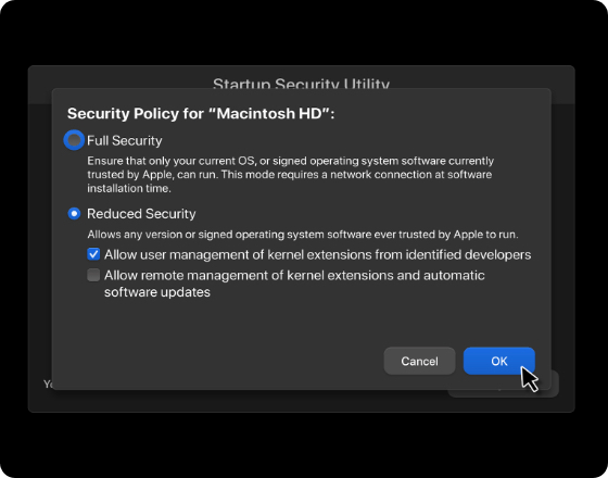 Check “Reduced security” and select “Allow user management of kernel extensions from the identified developers”.